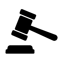 Advokat Aleksandra Tomasevic Jocic